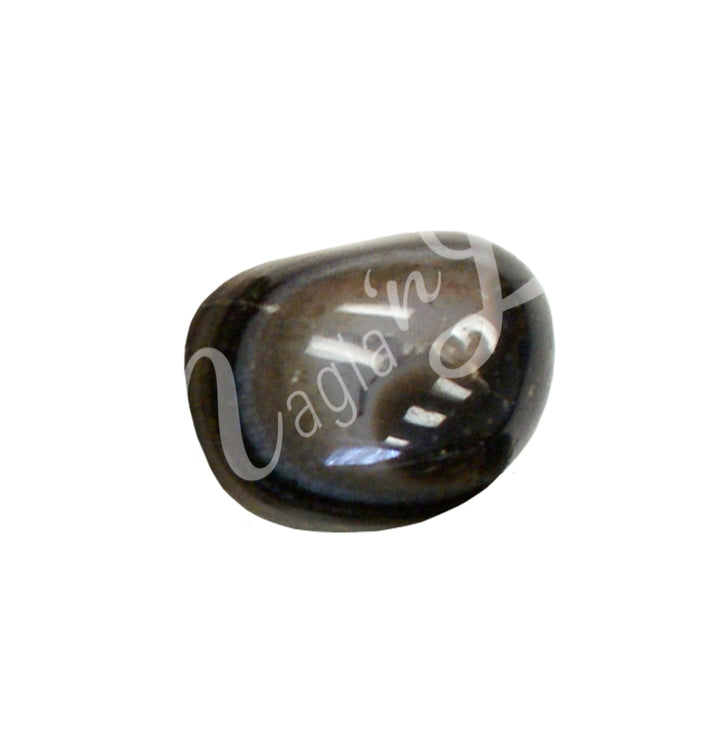 Polished tumbled stone with shades of black-brown, showing natural patterns and a glossy surface.