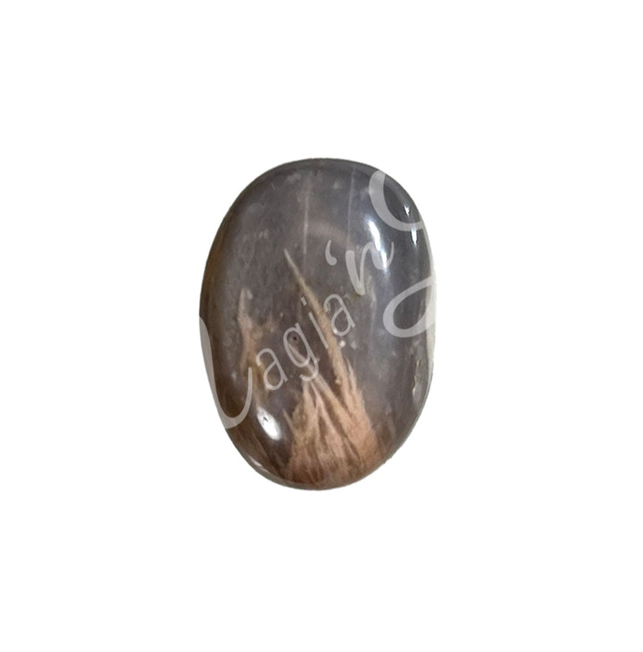 Polished tumbled stone with shades of gray and light brown, showing natural patterns and a glossy surface.
