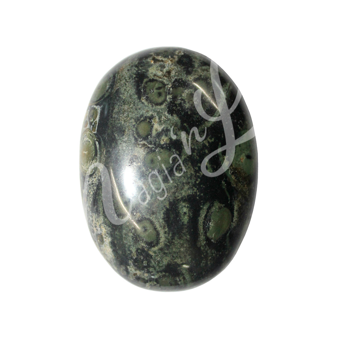 Close-up of a polished oval palm stone made of Kambaba Jasper.