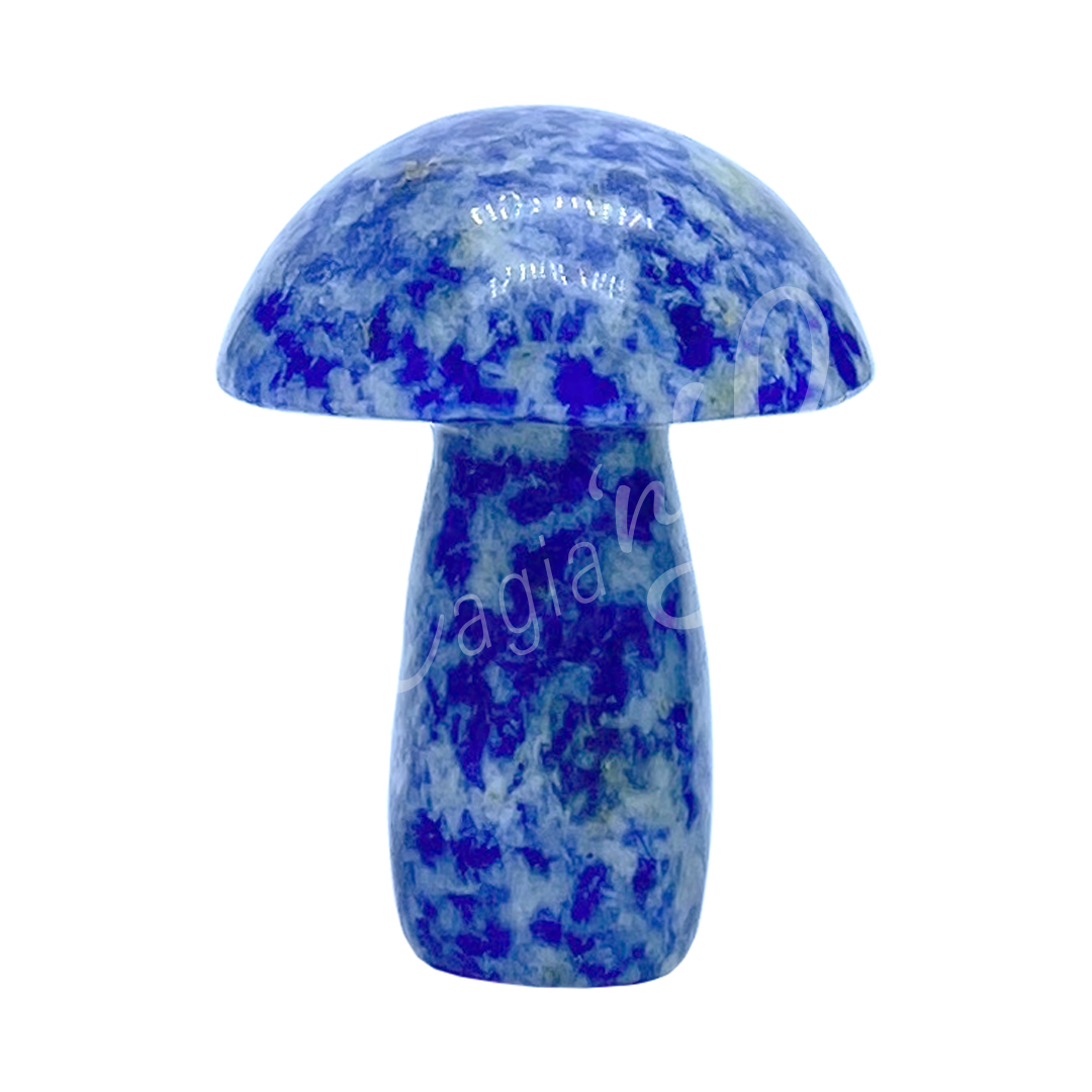 Massager Mushroom Sodalite 2"