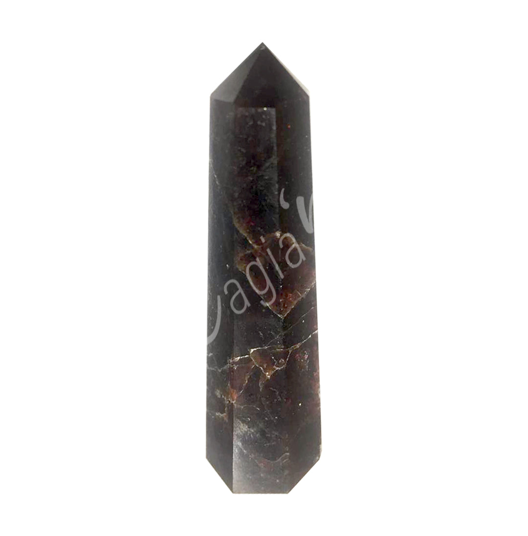 A dark brown standing point with brown bands.