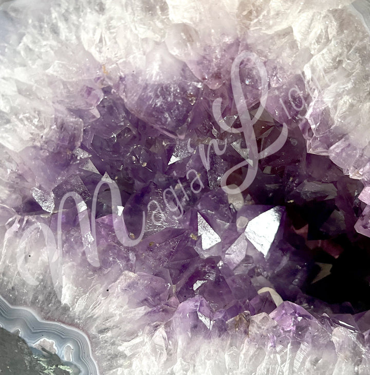 Close-up of the purple interior.
