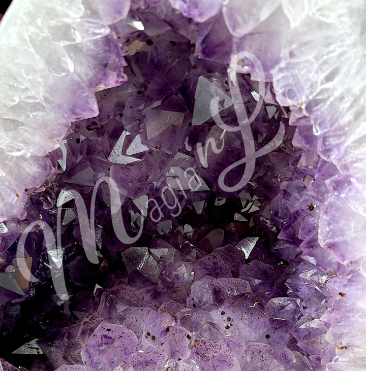 Close-up of the purple interior.