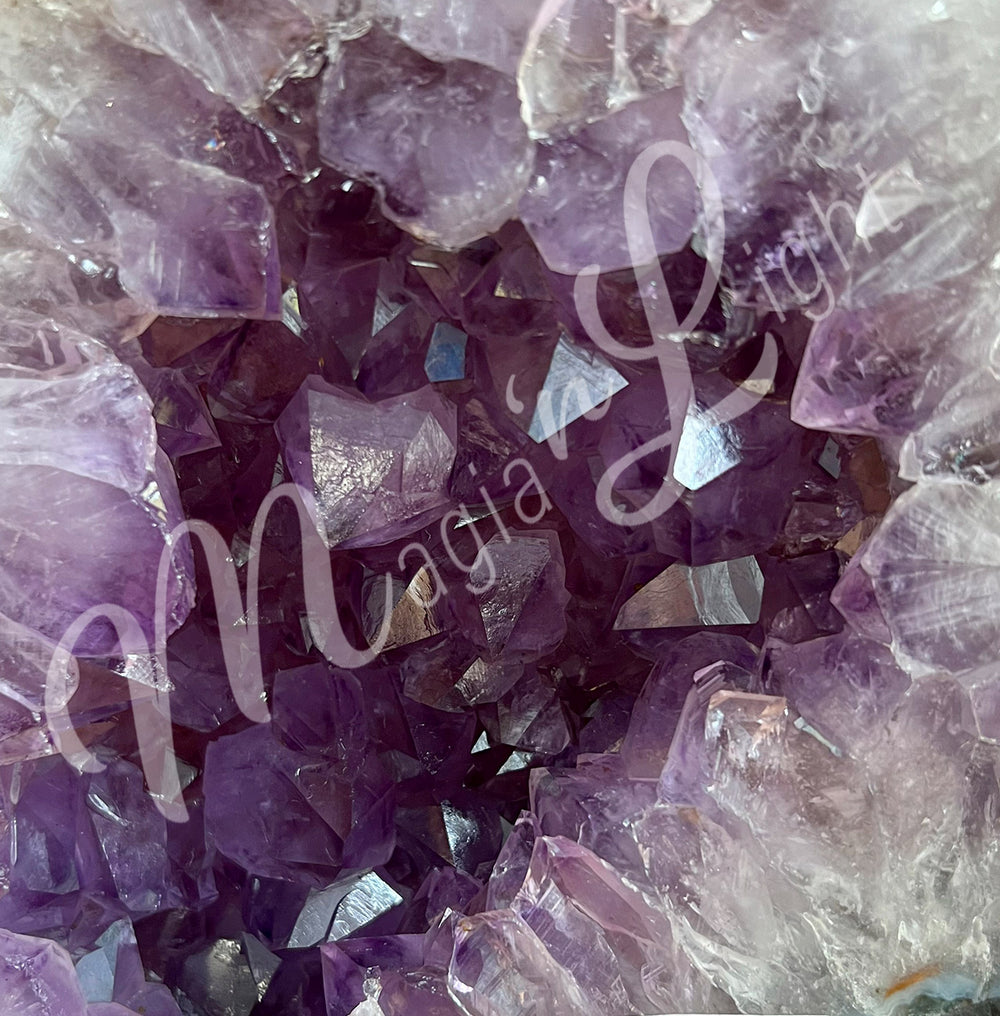 Close-up of the purple interior.