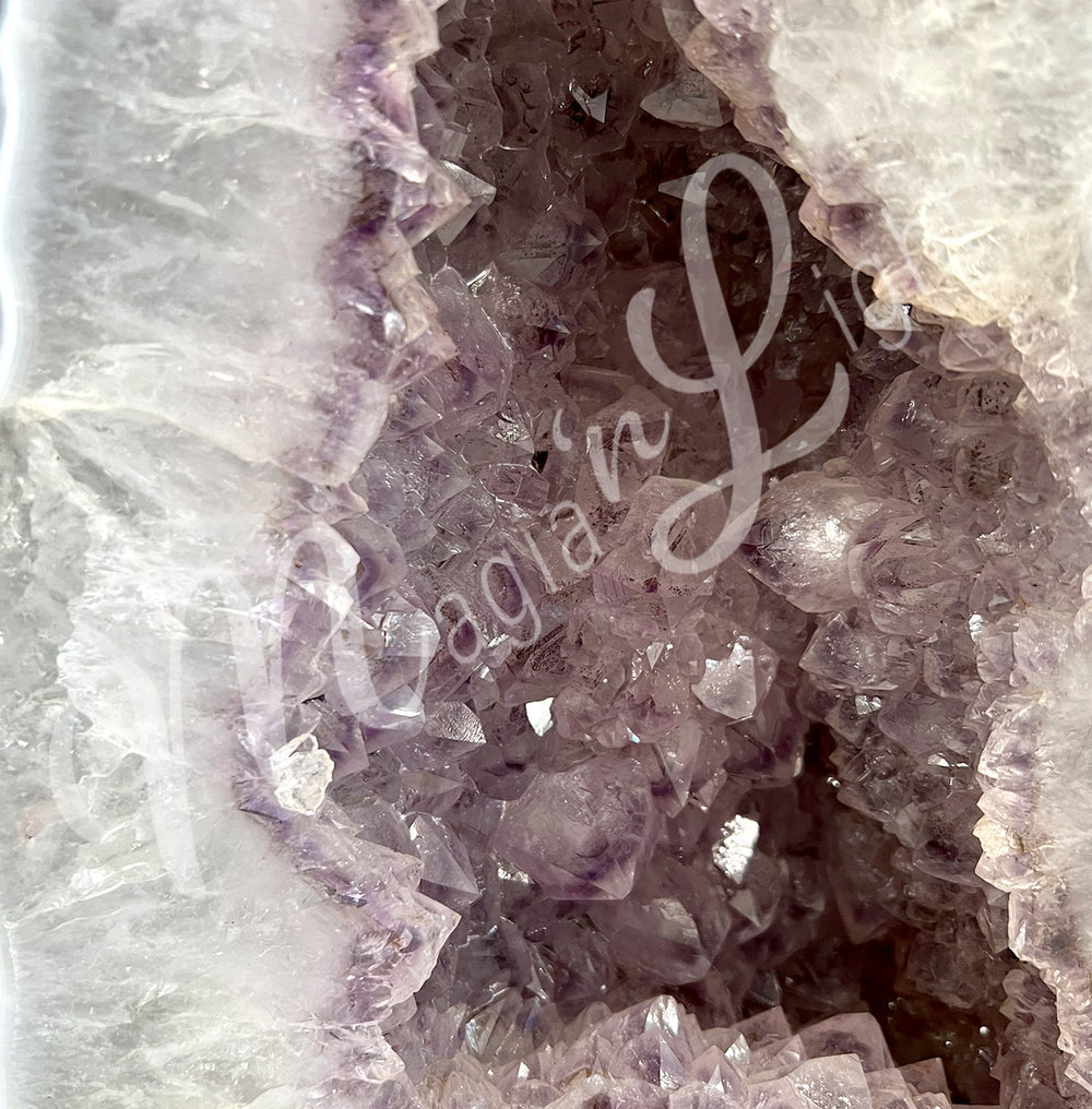 Close-up of the purple interior.