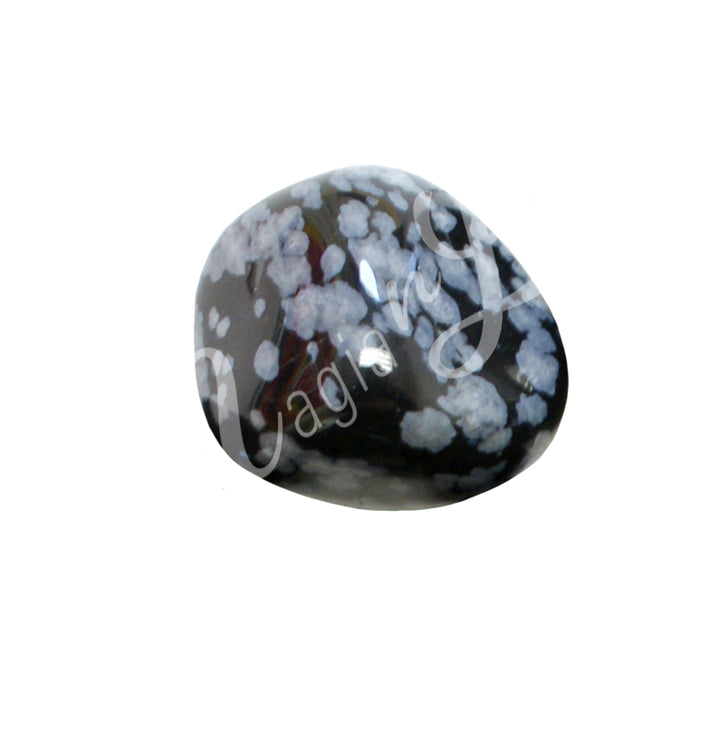 A black polished tumbled stone with white and grayish snowflakes, showing a glossy surface.