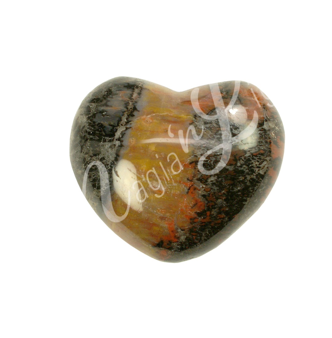 Heart-shaped petrified wood.
