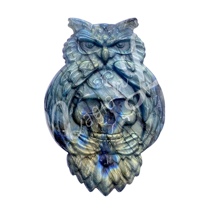Figurine Owl with Skull Labradorite 3.25"
