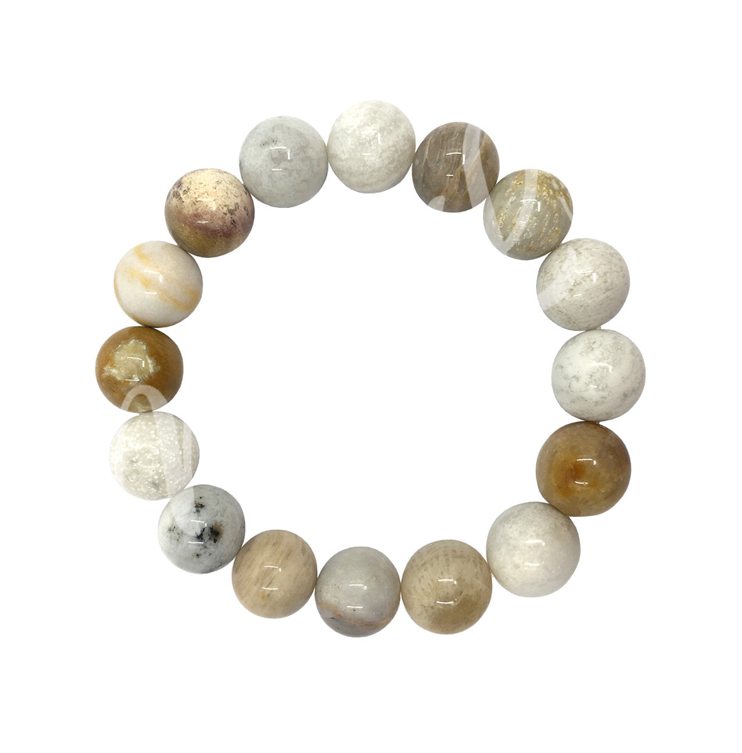 Bracelet Fossil Coral (12mm) 8-8.15"
