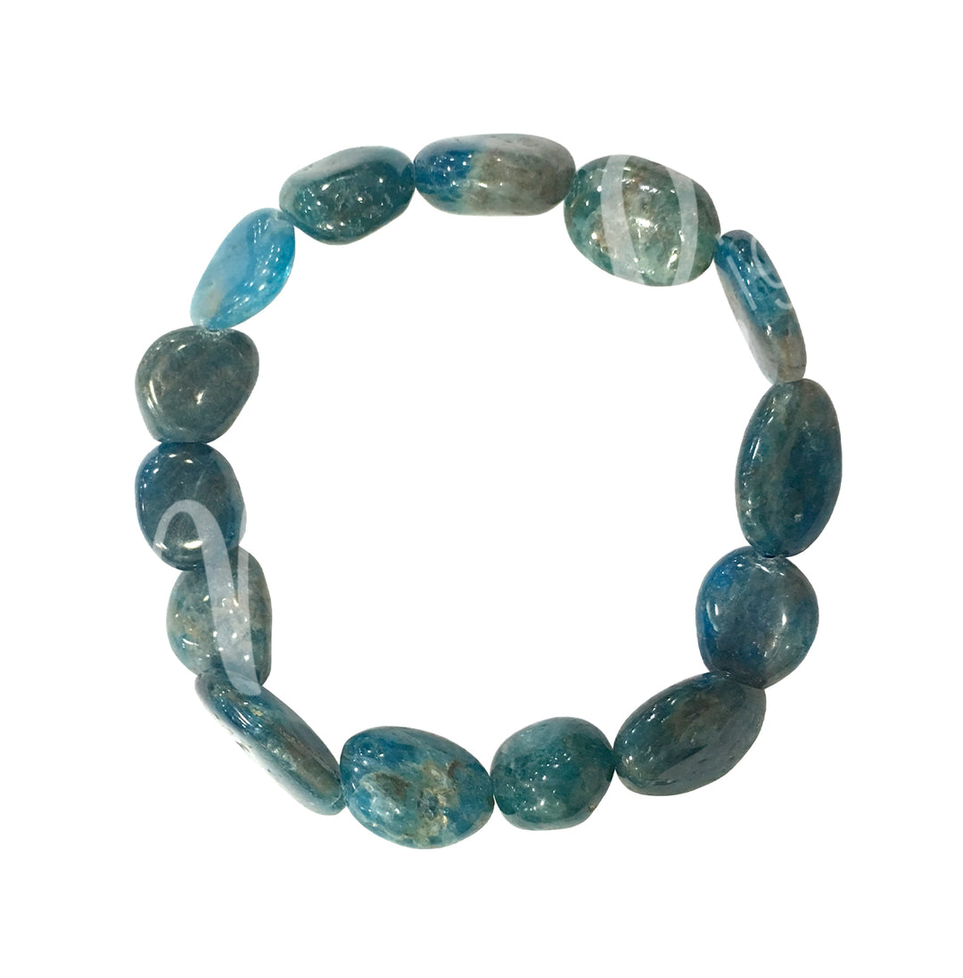 Bracelet Tumbled Stones Apatite (8-10mm) 7.45-7.5"