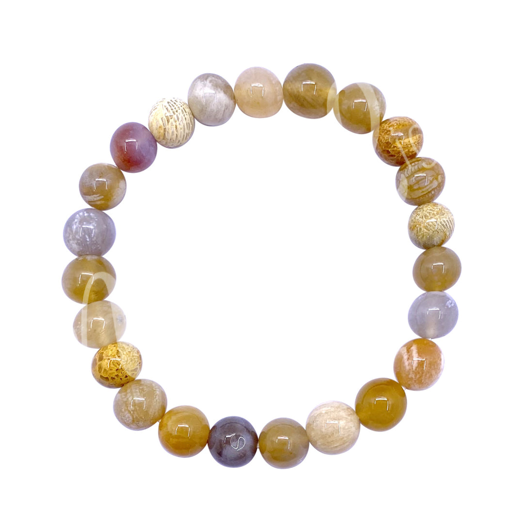 Bracelet Fossil Coral (8-8.5mm) 7.15-7.25"