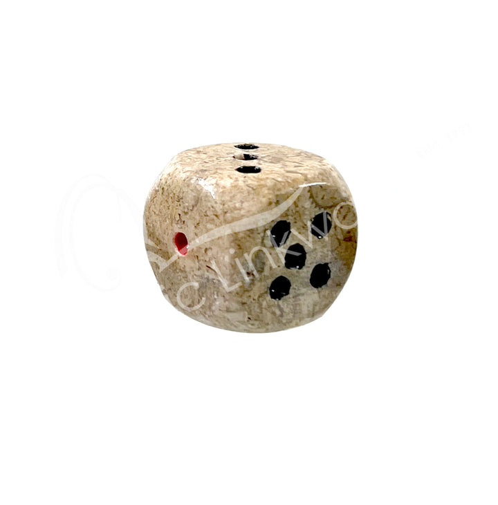 A polished fossil coral gemstone dice with white engraved dots.