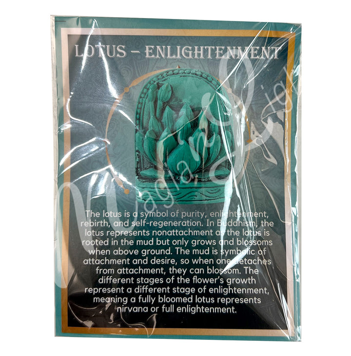 Lotus – Enlightenment