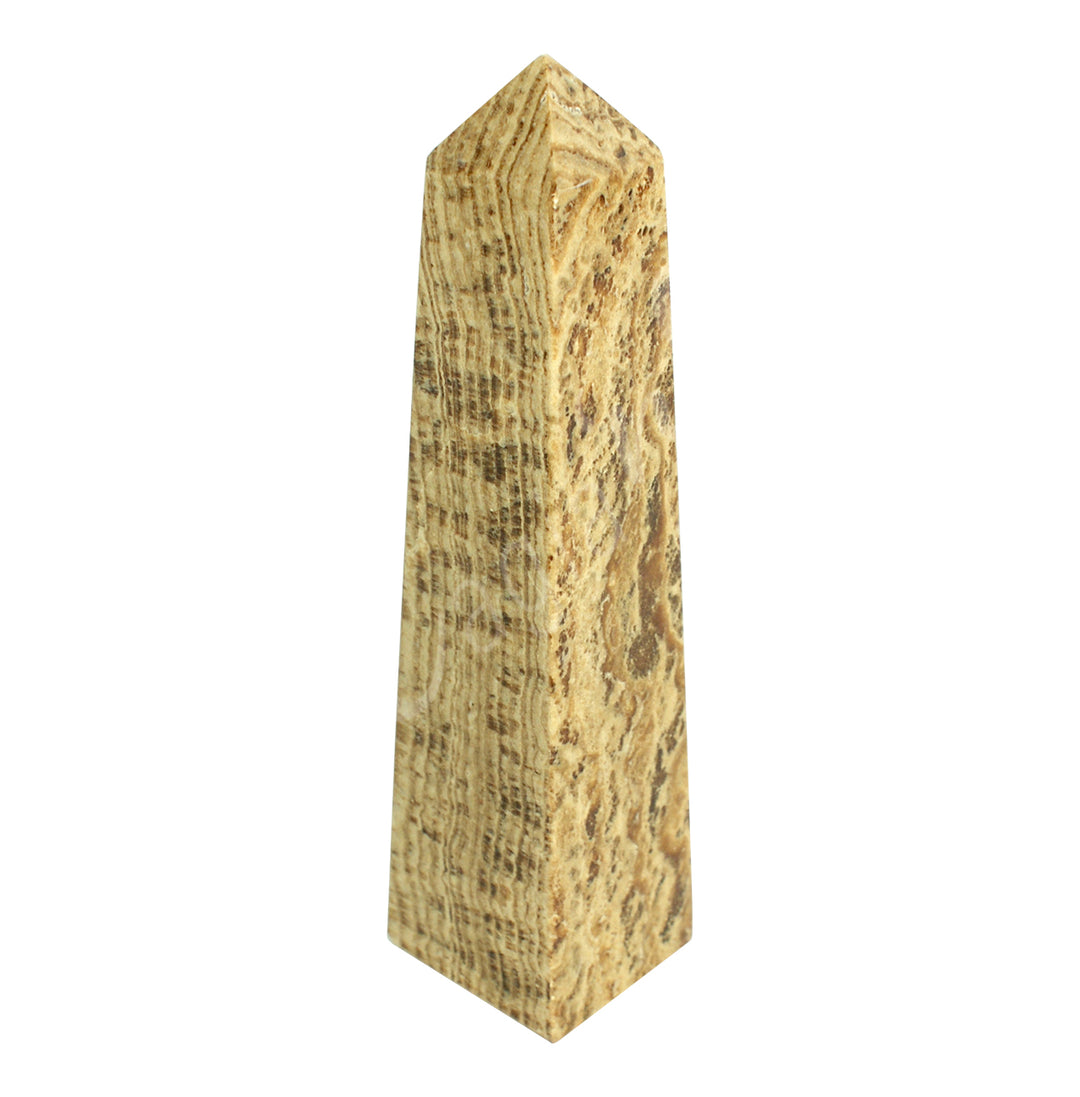 A beige standing point with brown layers along the lenght.