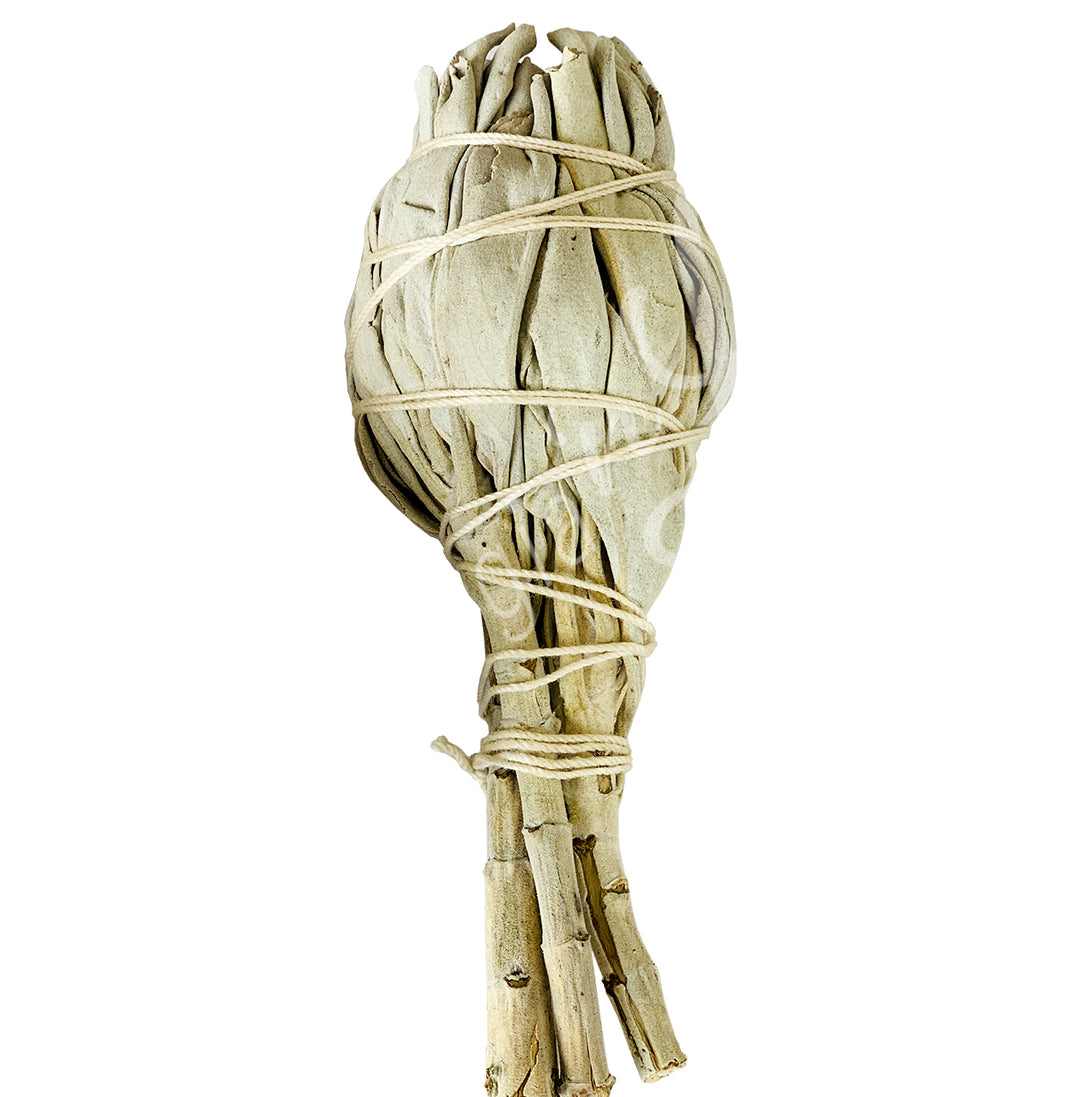 Smudge Stick White Sage Torch 4-4.5″