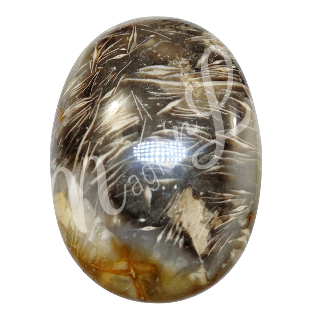 Palm Stone Feather Agate 2-2.5″