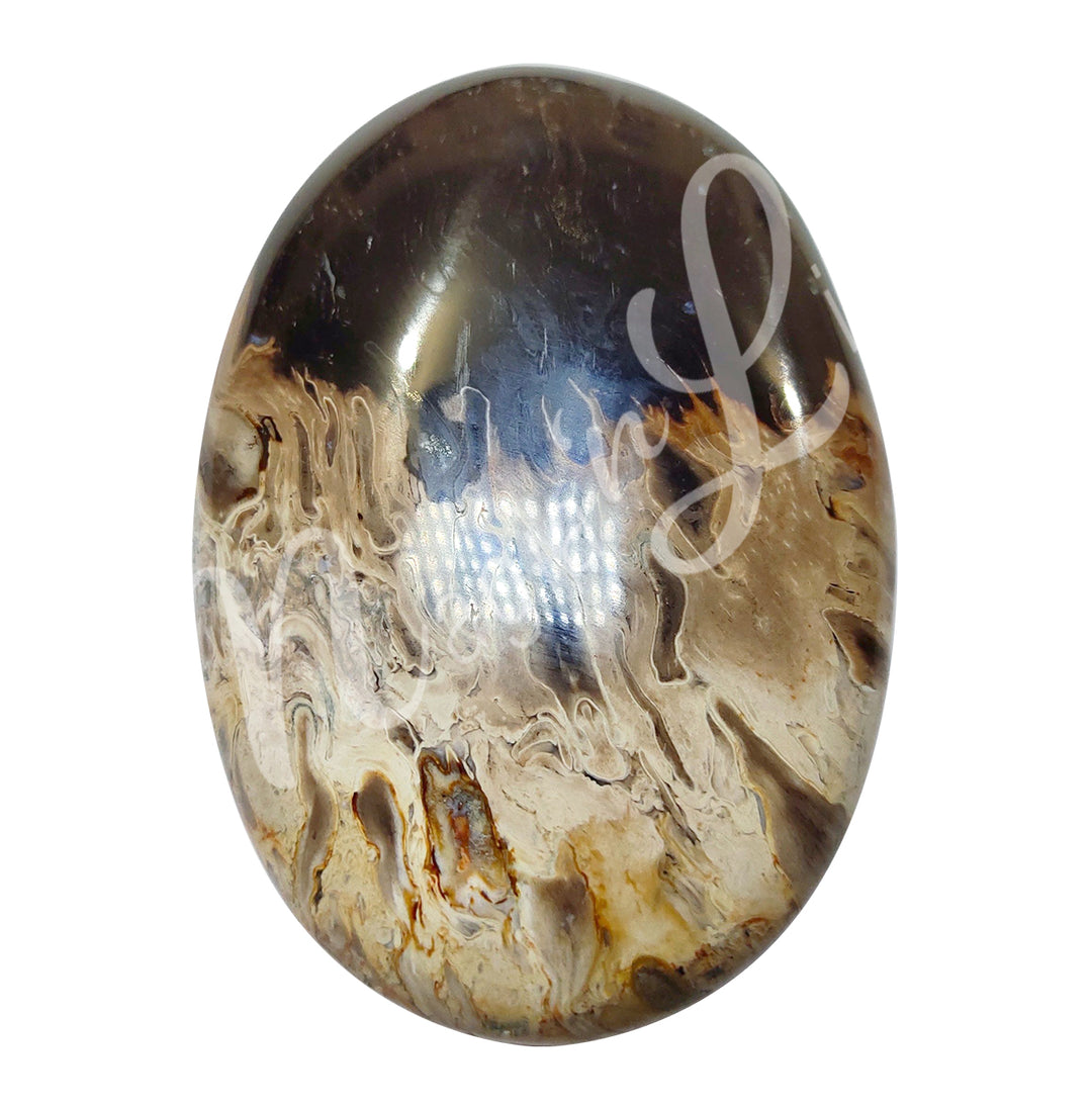 Palm Stone Fossil Palm Root 2-2.25″