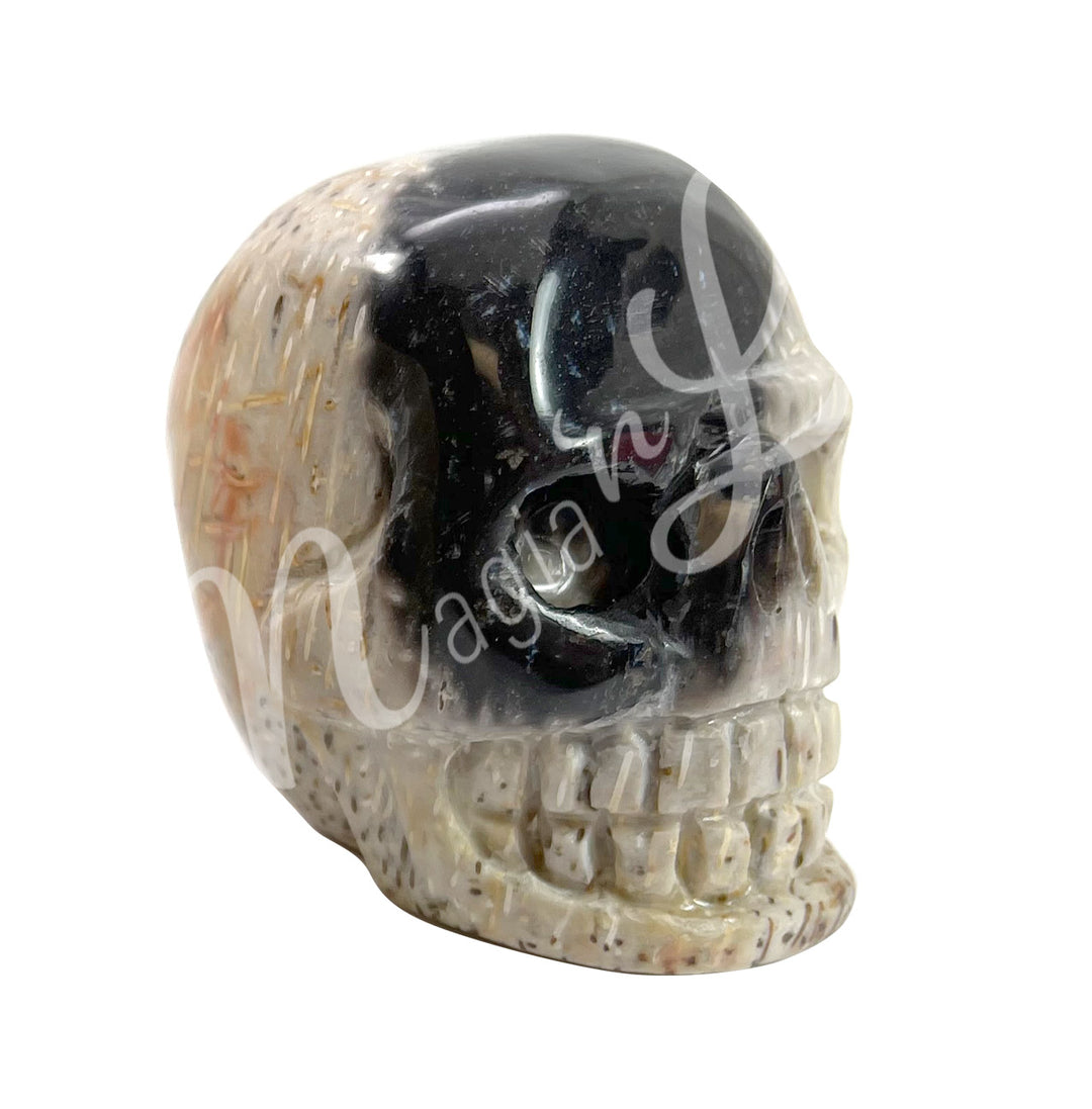 A polished skull carving made of palm root fossil.