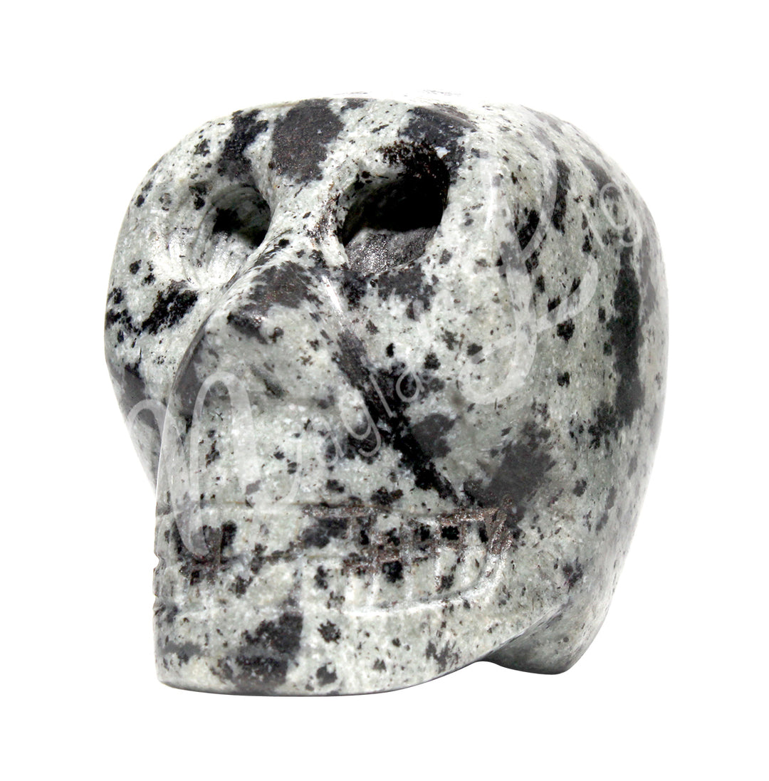 A polished skull carving made of dalmatian jasper.