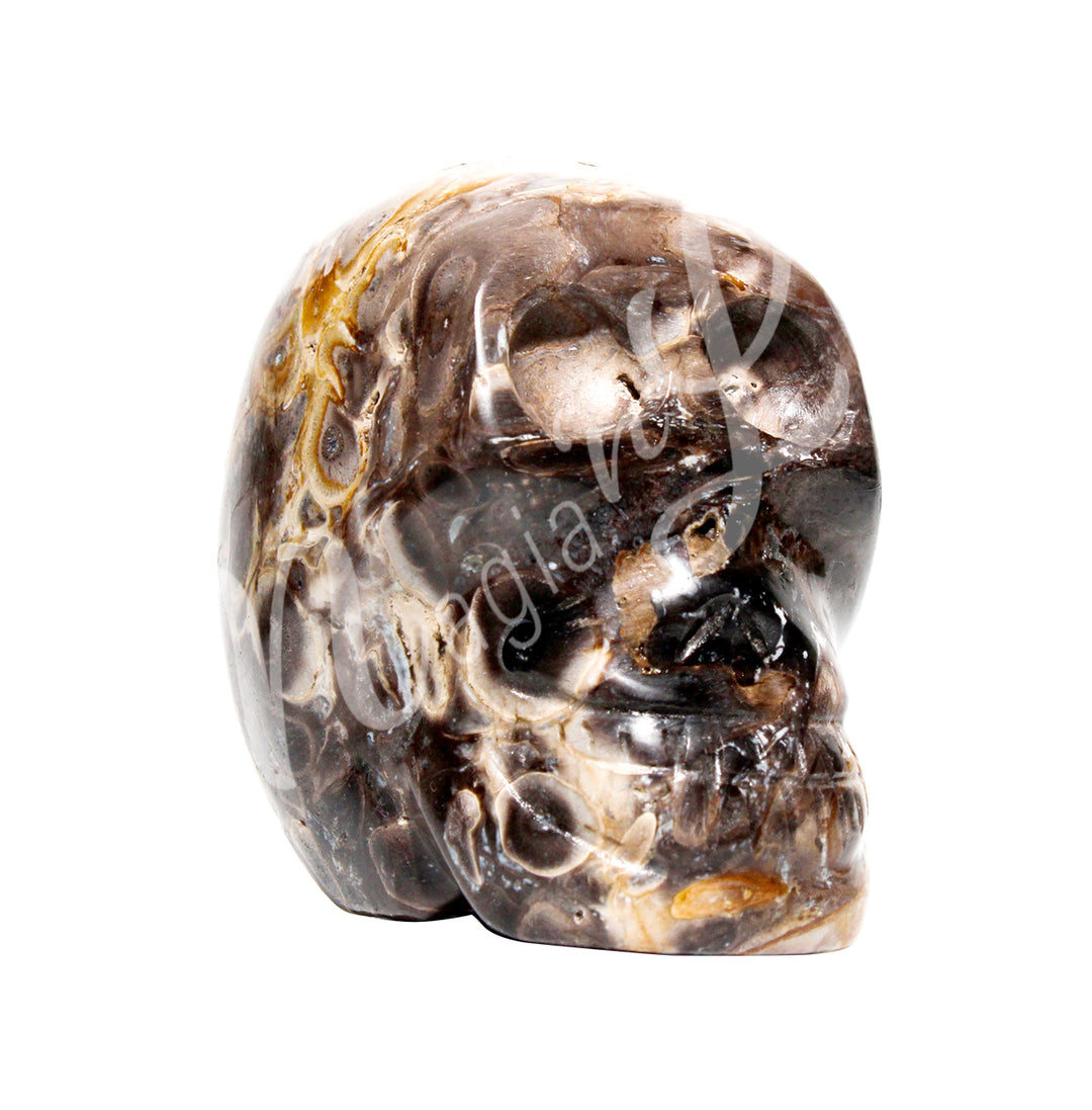 A polished skull carving made of crinoids fossil.