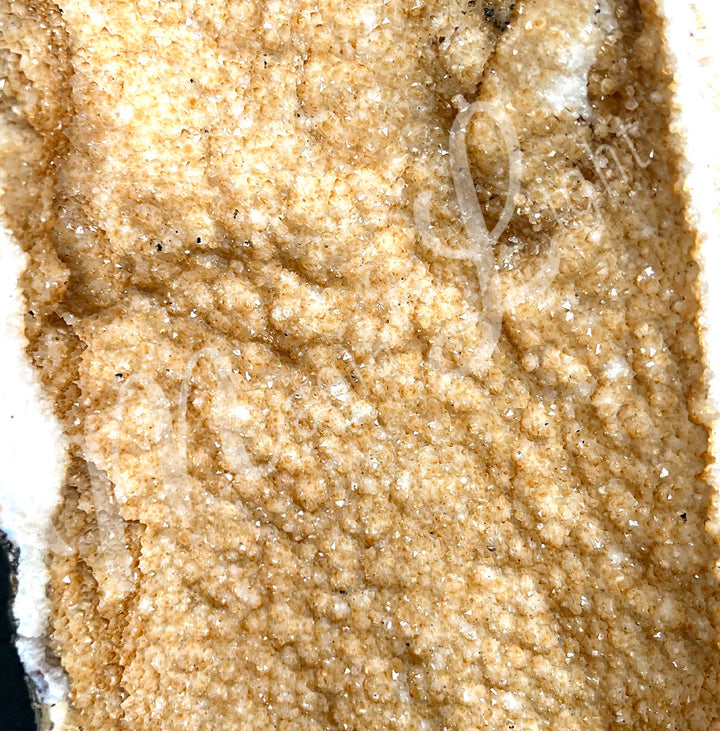 Close-up of the yellow interior.