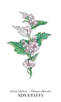 Hedgewitch Botanical Oracle 6 x 8 x 2"