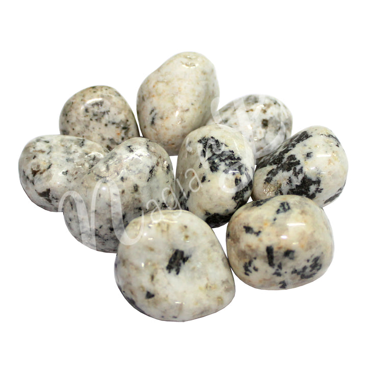 Tumbled Stone Dalmatian Jasper 20-30mm