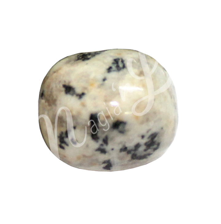 Tumbled Stone Dalmatian Jasper 20-30mm