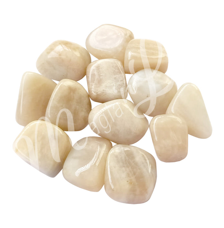 Tumbled Stone White Moonstone 20-25mm