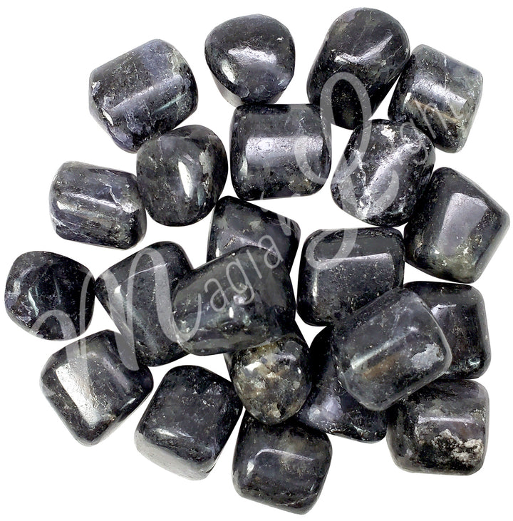 Tumbled Stone Iolite with Black Mica 20-30mm