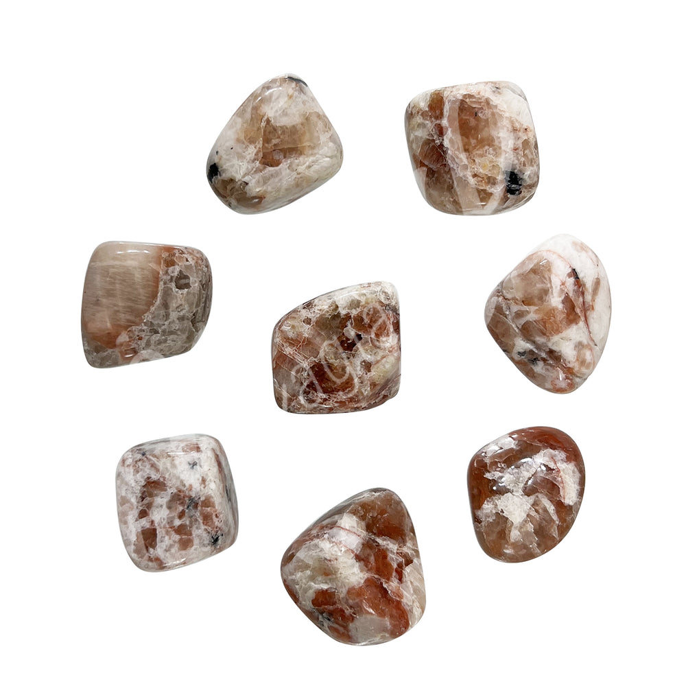 Eight tumbled stones of Pink Zebra Jasper arranged in a circular pattern.