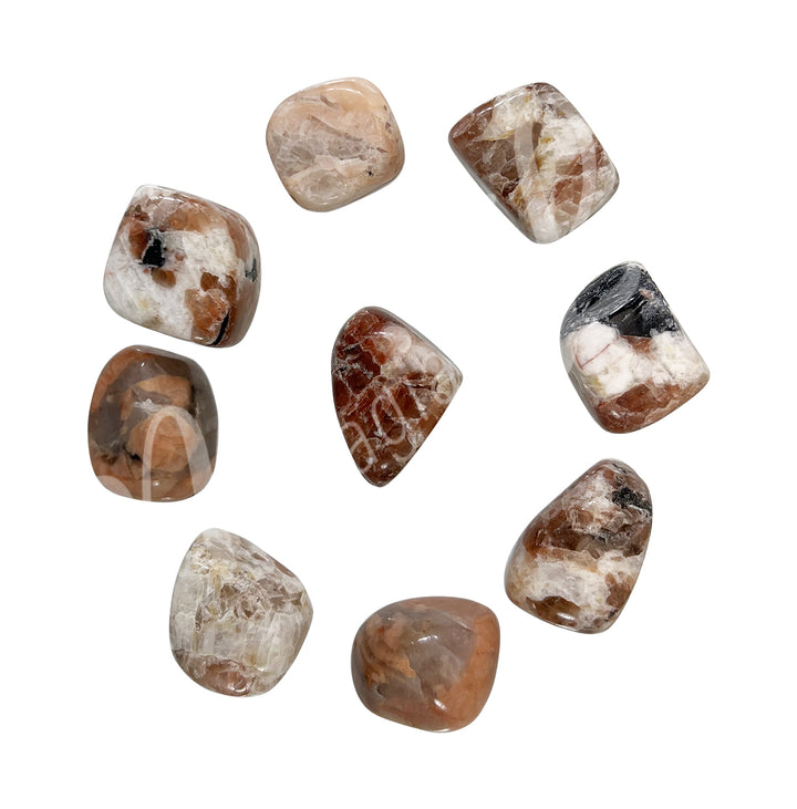 Tumbled Stones Pink Zebra Jasper 15-35 mm