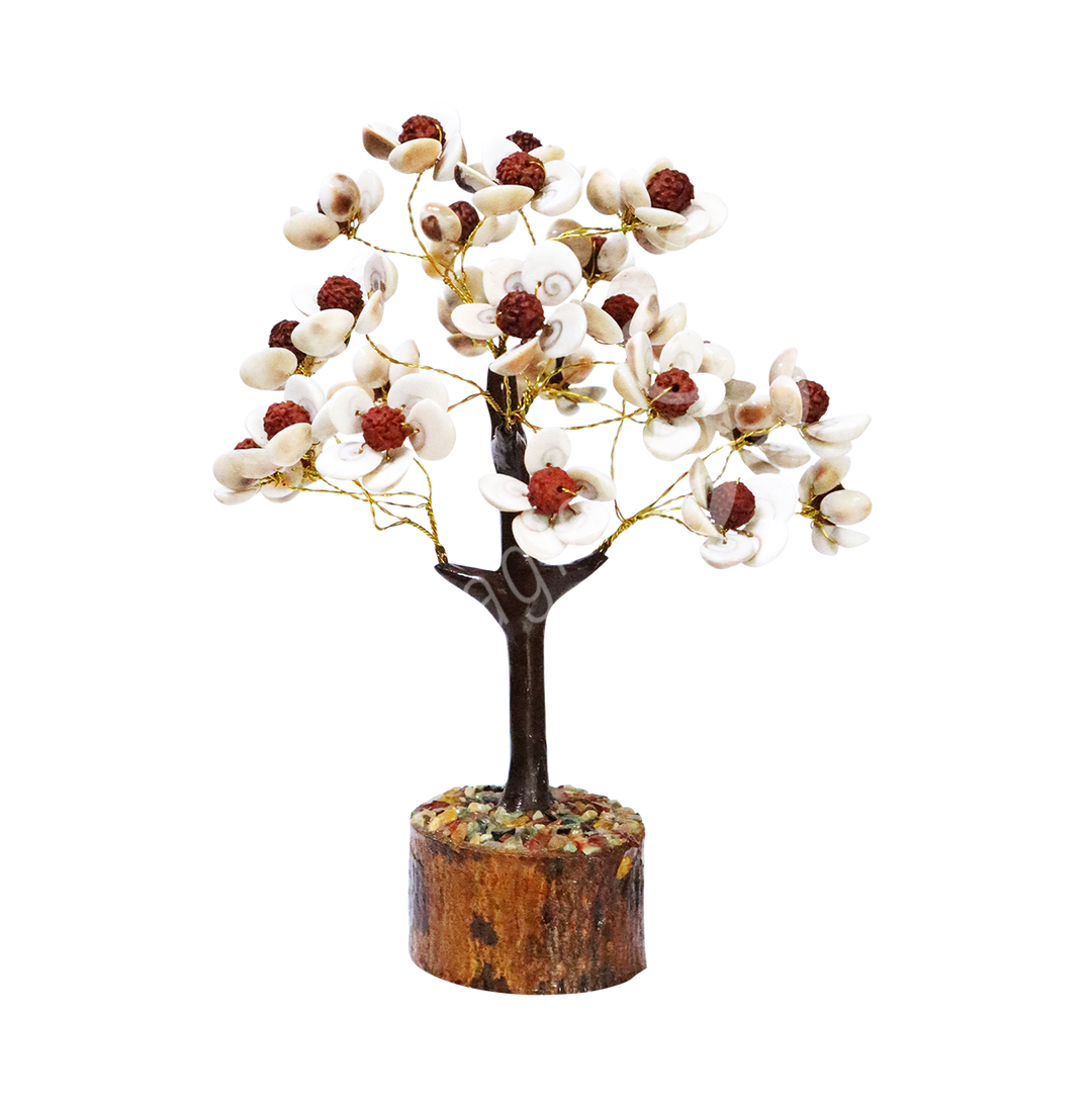 Gem Tree Shell & Rudraksha Seeds