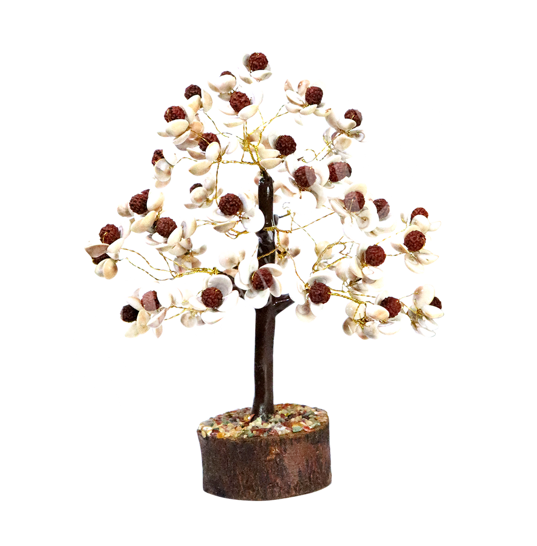 Gem Tree Shell & Rudraksha Seeds