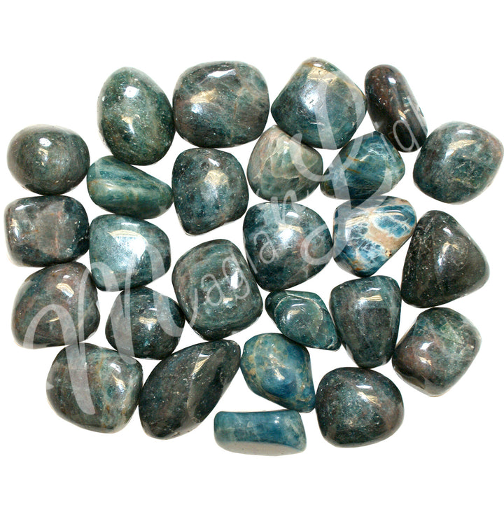 Tumbled Stone Apatite A 20-30mm