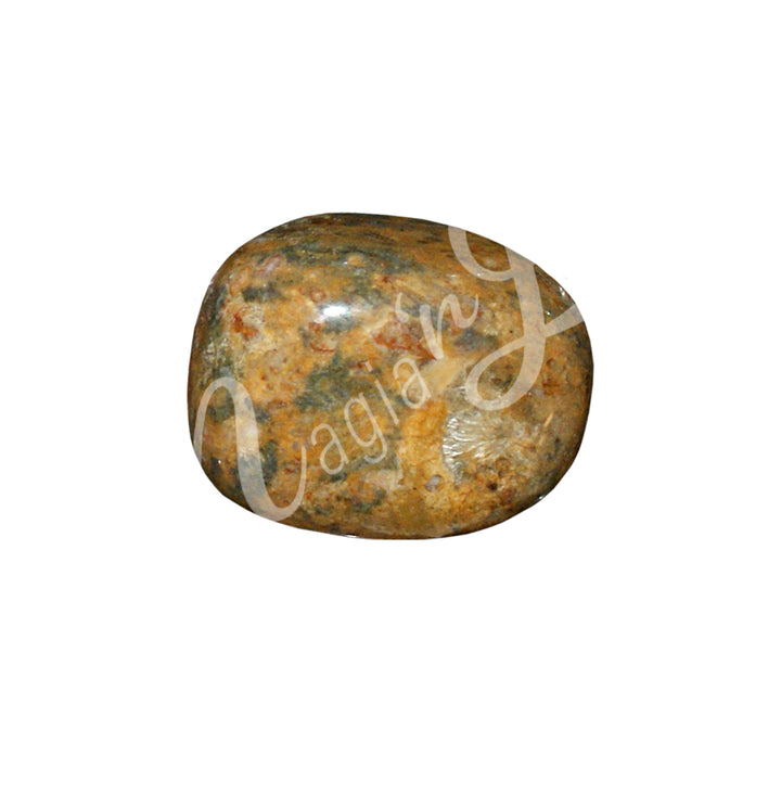 Piedra pulidas de Jaspe de Piel de Leopardo de 20 a 30 mm