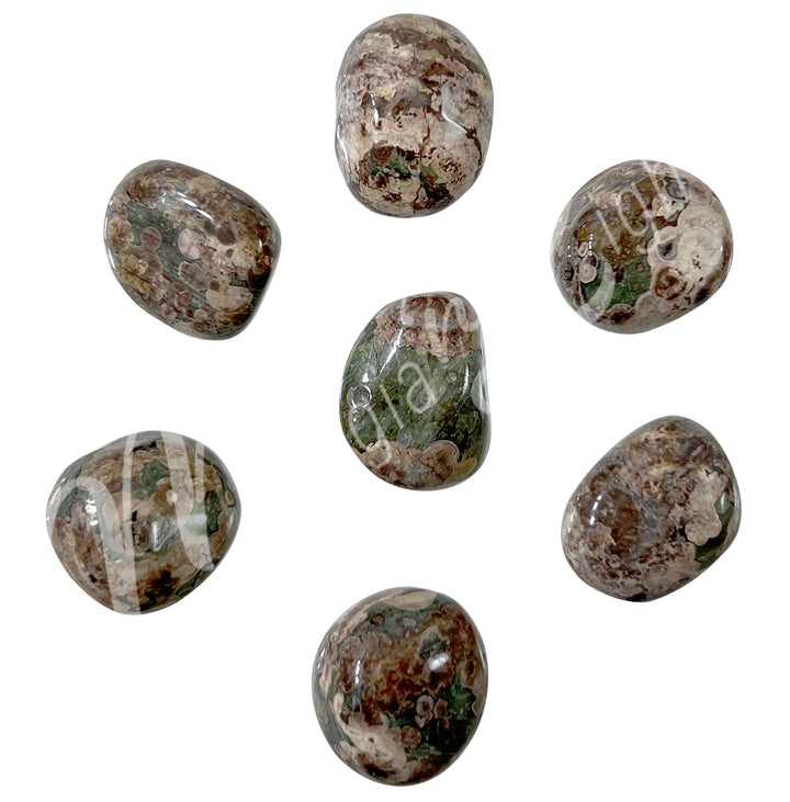 TUMBLED STONE JASPER, GREEN LEOPARD SKIN 25 MM