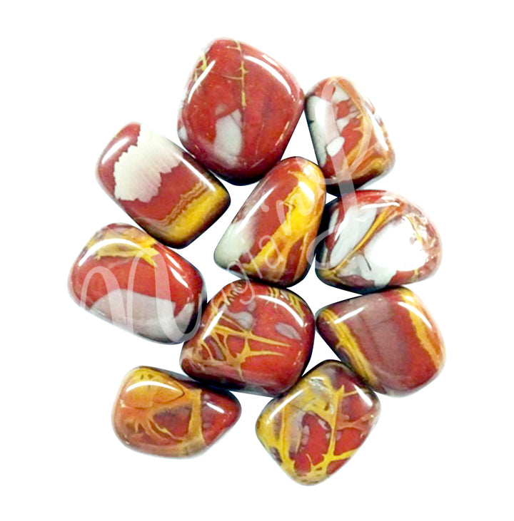 Tumbled Stone Noreena Jasper 20-30mm