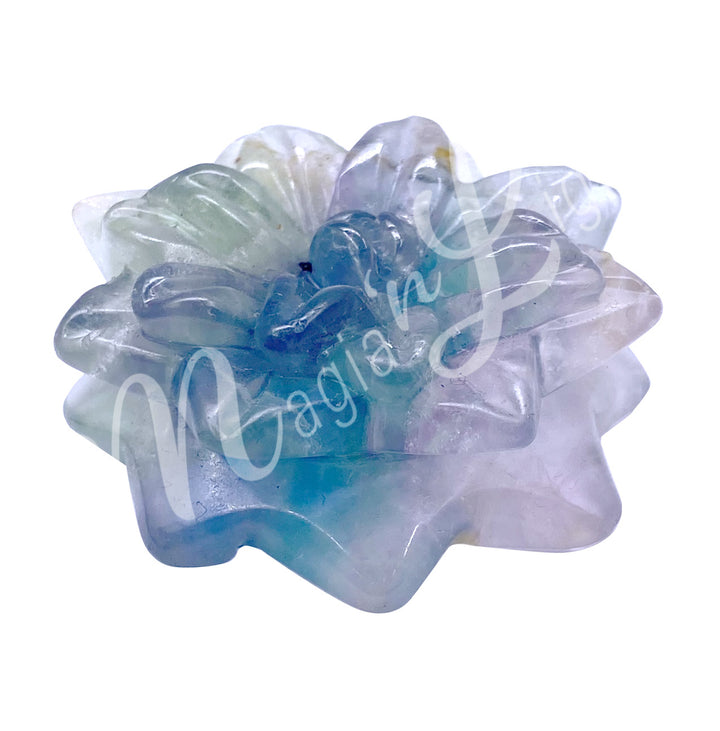 Figurine Lotus Fluorite 3"dia.