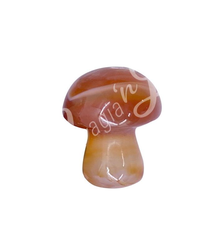 Massager Mushroom 0.75"