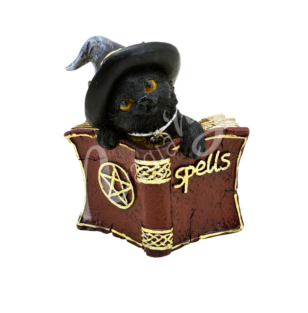 "A statue of a black cat wearing a witch hat and holding a spell book, with a pentacle on its back.