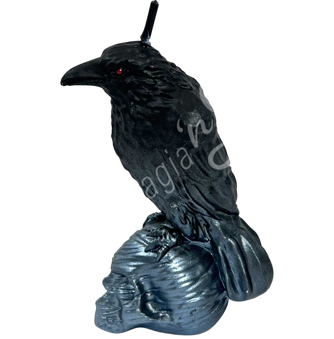 Candle Black Raven on Silver Skull