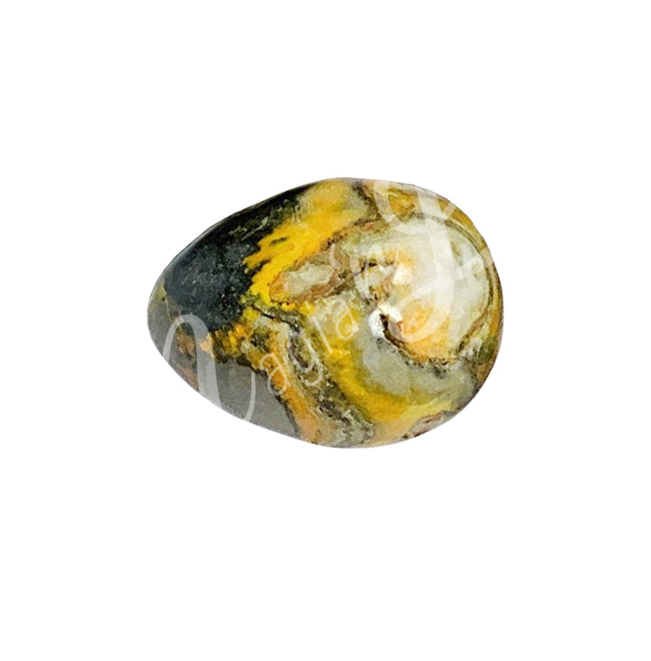 Tumbled Stone Bumble Bee Jasper 20-30mm