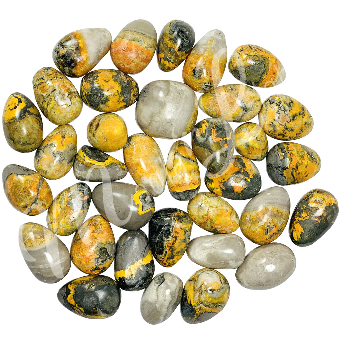 Tumbled Stone Bumble Bee Jasper 20-30mm