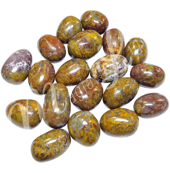 Tumbled Stone Plumite Jasper 30mm