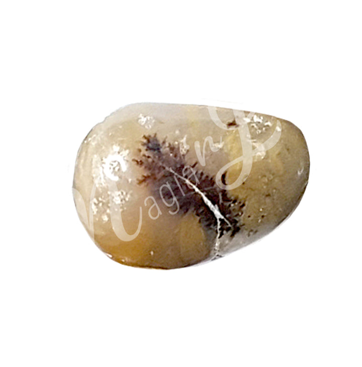 TUMBLED STONE AGATE, DENDRITIC 20-35 MM