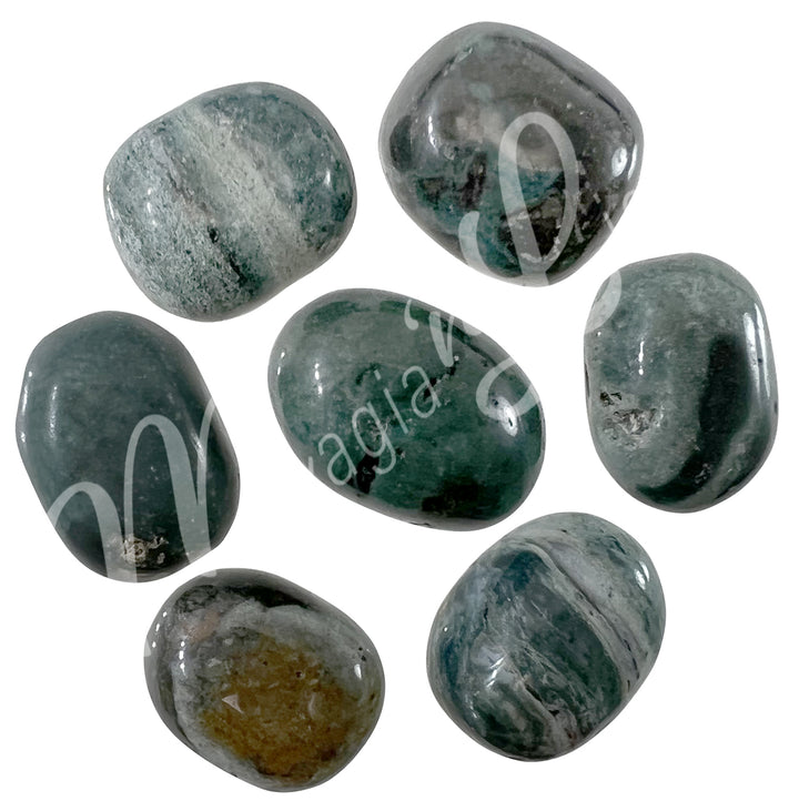 Tumbled Stone Green Fossil 20-30mm