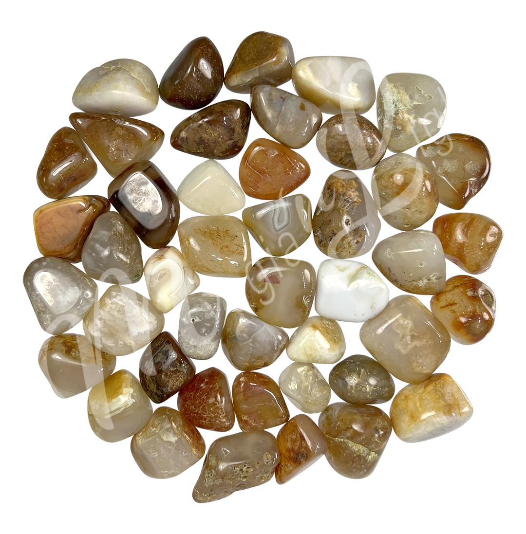 Tumbled Stone Agate EX 20-30mm