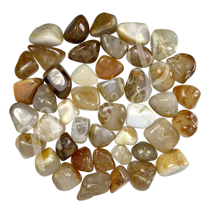 Tumbled Stone Agate EX 20-30mm