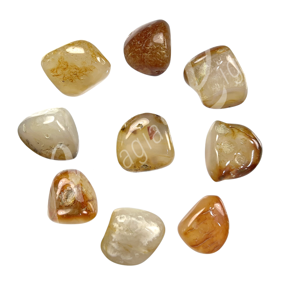 Tumbled Stone Agate EX 20-30mm
